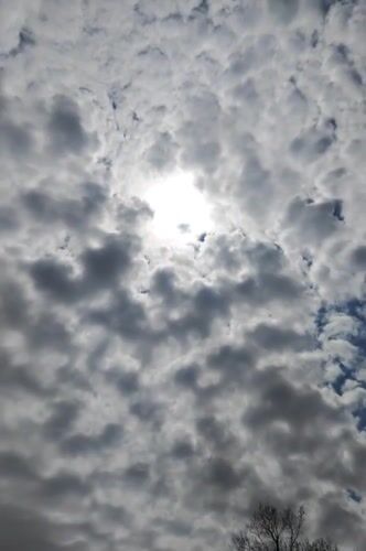 Spring day documented in rural Izgrev, Bulgaria countryside