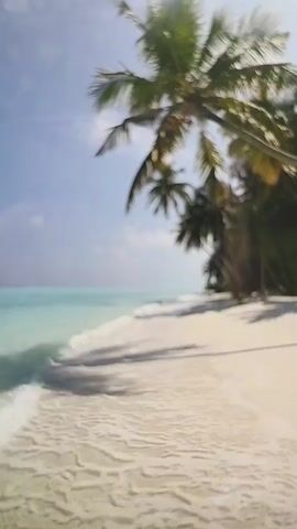 The video depicts a serene tropical beach with white sand meeting the turquoise water, under a clear blue sky dotted with a few white clouds. Palm trees cast their shadows on the beach, adding to the tranquil atmosphere. Small waves gently lap at the shore, creating a peaceful soundscape.