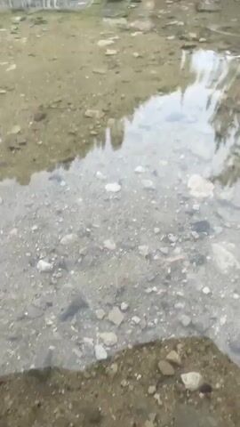 The video shows a body of water with a rocky bottom. In the distance, there is a series of cascading waterfalls. The surrounding environment includes a hillside covered in green trees and vegetation, with layered rock formations. The sky is overcast.