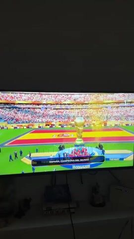 A television screen displays a sporting event, likely a soccer match. The scene captured on the screen shows a celebratory moment where a soccer team, identified by their red and yellow uniforms, is on a podium with a golden trophy. The trophy is large and ornate, resembling the FIFA World Cup. The players are cheering and holding the trophy aloft, indicating they have won a championship. The words "ESPAÑA, CAMPEONA DEL MUNDO" (Spain, World Champion) are visible on a banner below the players, along with "FIFA WORLD CUP 2010 CHAMPIONS". The stadium is filled with spectators, many of whom are wearing red and yellow, further reinforcing the Spanish team's victory. Confetti or streamers appear to be falling from above, adding to the festive atmosphere. The image quality suggests the video is being recorded from a distance, possibly by a phone, with some reflections visible on the screen. The lower portion of the screen shows the edge of a television stand with some items placed on it, including books and possibly electronic devices.
