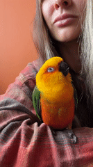 Woman poses with vibrant parrot in Khimki indoor setting