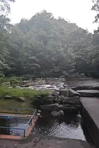 A camera pans across a natural scene featuring a stream flowing over rocks, surrounded by lush green trees. In the foreground, there's a concrete structure and a pool of water with a metal railing. The overall atmosphere suggests a tranquil, outdoor environment.