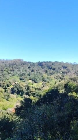 The video shows a landscape view, starting with a house situated atop a densely forested hill, under a clear blue sky. The camera pans slightly to reveal a seascape in the distance, with turquoise water meeting the horizon. The scene emphasizes the contrast between the lush green forests and the vast open sea, all under a bright, cloudless sky.