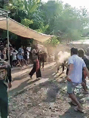 Traditional Indonesian combat performance draws crowds in Kedawung