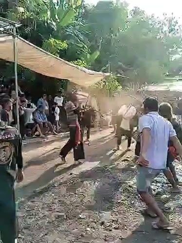 Traditional Indonesian combat performance draws crowds in Kedawung