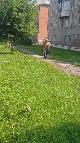 Early morning Izhevsk: streets, paths, and summer greenery