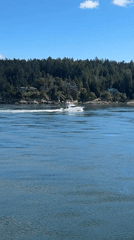 White yacht cruises past forested Gulf Islands coastline