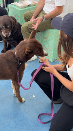 West Hollywood cafe patron documents afternoon at Pantry establishment
