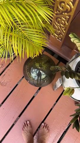 A first-person perspective video shows feet standing on a wooden deck. In the center of the frame, a dark, reflective sphere rests on the deck. A palm frond hangs from the left side of the frame, and a potted plant is visible on the right. The sphere reflects the sky, greenery, and a silhouette of a person. The deck appears to be outdoors, possibly on a porch or balcony. The lighting suggests daytime.