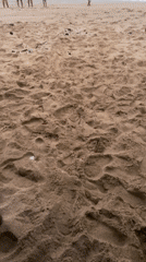 Quiet overcast beach with scattered people and a shoreside stall