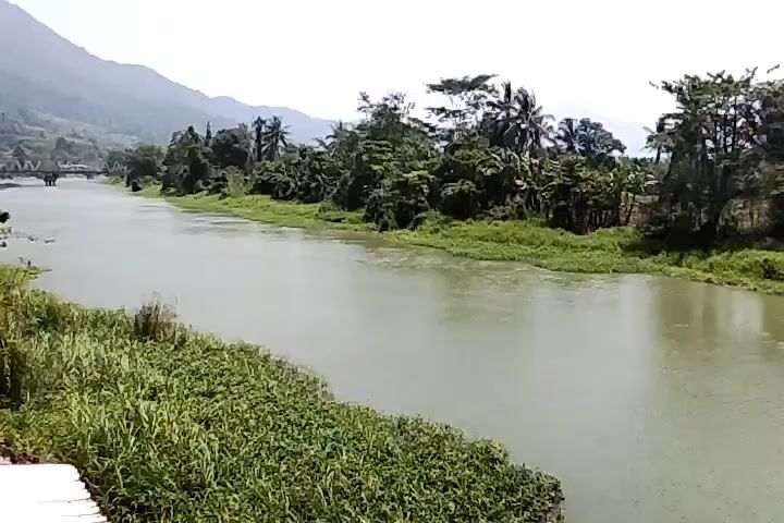 A wide, slow-moving river flows through a tropical landscape. The water is a murky green, and the banks are densely vegetated with lush green plants and trees, including palm trees. In the distance, mountains rise against a hazy sky. A small bridge is visible on the left side of the frame. The scene is peaceful and serene.