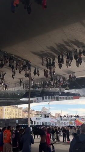 Marseille waterfront scenes captured showing city hall, yachts, mirrored plaza