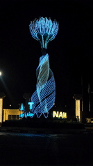 Nighttime scenes captured across Da Lat's illuminated public spaces