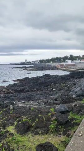 This video displays a rocky coastline on a cloudy day. The foreground is filled with dark volcanic rocks interspersed with patches of green grass and small plants. In the background, the ocean stretches out to the horizon under a grey, overcast sky.

Further along the coast, a town or city is visible, with buildings and what appear to be industrial structures or cranes in the distance. Closer to the water, there's a paved area that might be a promenade or walkway, and a swimming pool complex with a white building and blue-tiled pools.

In the middle ground, some people can be seen on the rocky shore near the water's edge, appearing to be enjoying the view or perhaps preparing to enter the sea. The overall mood is calm and somewhat subdued due to the cloudy weather, but the presence of people and the swimming pool suggests it's a place for recreation and leisure, likely Ponta Delgada, Portugal. The time of day appears to be daytime, given the ambient light. No text is visible in the media file.