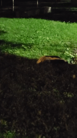 Montreal, Canada