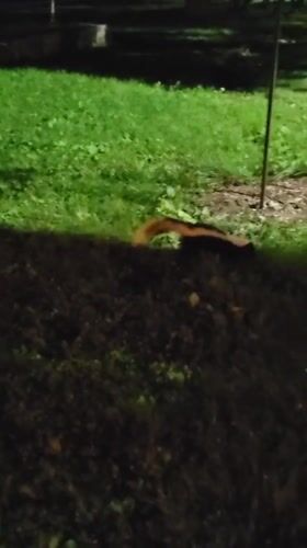 Montreal, Canada