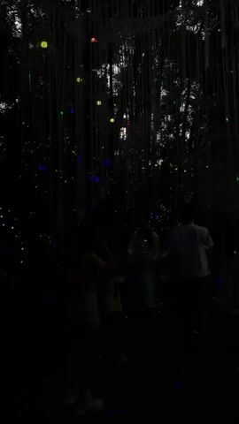 The video shows a dark outdoor environment, possibly a park or garden, illuminated by numerous small, colorful lights. The lights appear to be suspended from above, creating a magical or festive atmosphere. Several people, mostly silhouetted, are visible walking through the illuminated area. Some are children, and some are adults. The lights are primarily blue and green, with some red and yellow accents. The overall impression is that of an outdoor light installation or event.