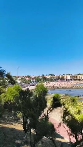 The video shows a panoramic view of a crowded beach on a sunny day. The sky is clear and blue. In the foreground, there are trees and vegetation, with a paved walkway visible. In the middle ground, there is a body of water, and beyond that, a sandy beach packed with people. Along the beachfront, there are buildings, possibly hotels or apartments, with multiple stories and a light-colored facade. The overall impression is a busy coastal resort area.