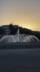 Barcelona waterfront and parks on a golden summer evening