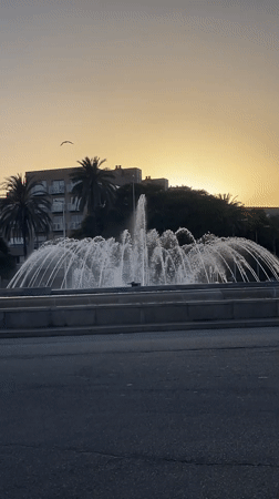 Barcelona waterfront and parks on a golden summer evening