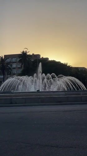Barcelona waterfront and parks on a golden summer evening