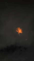 Fireworks display over Sri Jayewardenepura Kotte on a cloudy night
