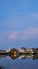 Dawn observations of birds and waterfront captured in Lhokseumawe