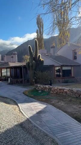 This media file captures a scenic view of a resort or hotel in Purmamarca, Argentina. The scene is dominated by a large, multi-armed cactus in the foreground, a common sight in the region's arid landscapes. Behind the cactus, a cluster of buildings with distinctive pink chimneys and large windows suggests a tranquil accommodation. A winding wooden pathway leads through a gravel-covered area towards the buildings, inviting exploration.

In the background, majestic mountains rise, their peaks partially shrouded in soft, white clouds. The clear blue sky and the strong shadows cast by the sun indicate it's likely a bright, sunny day, possibly in the late morning or early afternoon. The presence of sparse trees and the dry, pebbled ground further emphasize the desert-like environment.

There are no people visible in the frame. The focus is on the natural beauty of the landscape, the unique flora, and the architecture designed to complement its surroundings. The overall mood conveyed is one of peace and serenity, with a hint of rugged, natural grandeur. No text is visible in the media file.