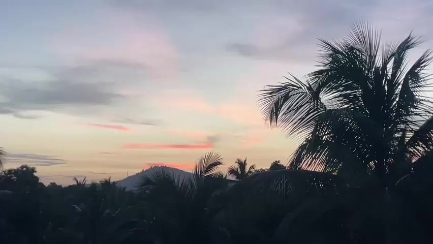 The video captures a tranquil twilight scene with a dusky sky. The sky transitions from a light blue at the top to a soft yellow and pink gradient near the horizon. Wispy clouds, tinged with pink, drift across the sky. In the foreground, silhouettes of palm trees and other foliage create a dark, natural frame. In the distance, a rounded, light-colored structure, possibly a hill or building, is visible against the horizon. The overall atmosphere is peaceful and serene, suggesting a natural landscape at dusk.