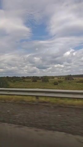 A side-view video captures a landscape from a moving vehicle. The foreground shows the blurry, dark asphalt of a road and a reflective metal guardrail. Beyond the guardrail, a green field stretches into the distance, dotted with scattered trees and bushes. In the background, a dense line of trees forms the horizon. The sky above is a mix of blue patches and large, white, puffy clouds, with some appearing wispy. The overall impression is of a rural or natural environment during daytime.