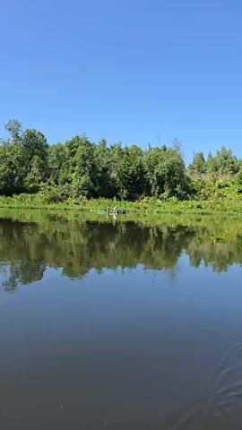 A calm river reflects a bright blue sky and a lush green tree line on a sunny day. In the distance, a small green boat is visible with at least two people in it, appearing to be fishing or relaxing on the water. The water is dark and still, with gentle ripples near the bottom of the frame. The trees on the bank are dense and varied in shades of green, with some lighter green foliage on a higher embankment in the background. The scene conveys a peaceful, natural setting.
