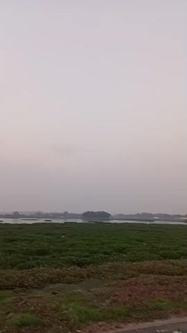 The video shows a wide landscape with a body of water in the distance, partially covered by green aquatic plants. In the foreground, there is dry brown vegetation. The sky is overcast and hazy. A person wearing a red garment is visible in the middle ground, near the edge of the water. The camera appears to be moving, causing a slight blur in the footage.