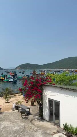The video captures a scenic coastal view in Đại Lãnh, Vietnam, on a bright, sunny day. The scene overlooks a bay or harbor filled with a multitude of colorful fishing boats anchored in the clear blue water. In the background, lush green mountains rise under a clear, bright sky.

In the foreground, there's a concrete patio area adorned with various potted plants. To the right, a simple white building with a large glass door is visible, casting a shadow on the patio. A small sandy strip with more greenery and a vibrant bush with rich red flowers (likely bougainvillea) separates the patio from the water's edge. A wooden table and a chair are placed on the sandy area, suggesting an outdoor seating spot to enjoy the view. The overall atmosphere is peaceful and serene, showcasing a typical bustling fishing community against a beautiful natural backdrop. No people or discernible activities are visible, presenting a still snapshot of the picturesque location.