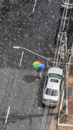 Ordinary São Paulo moments captured during afternoon hours