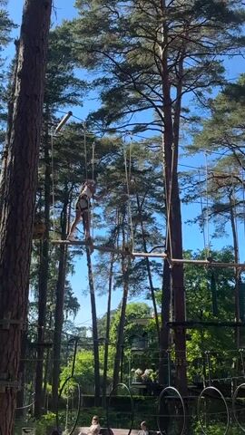 This is a vertical, daytime, outdoor video clip showing a person on an aerial obstacle course. The person, wearing a white harness and dark shorts, is carefully stepping across a narrow wooden beam suspended by ropes between two tall trees. Their right hand is extended, holding onto a rope for balance. The obstacle course is set high up in a forest with lush green foliage and tall pine trees dominating the background. The sky is a clear, bright blue, suggesting fair weather. In the foreground, at the base of the trees, several circular hoops are visible, possibly part of another obstacle or a ground-level attraction. Two people are seated on a bench in the lower right portion of the frame, observing the activity. The overall atmosphere appears to be one of outdoor recreation and adventure. The scene is likely a park or adventure center. There is no visible text in the clip.