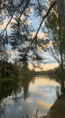 Evening park scenes captured at Bois de Vincennes, Paris
