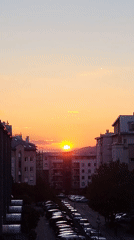 Urban sunset scenes and cat interaction captured by witnesses