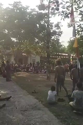 The video shows an outdoor event with a crowd of people gathered. In the center, a tall pole, possibly greased, is being climbed by multiple individuals stacked on top of each other. The participants are mostly shirtless, with some wearing shorts or trousers. The crowd is observing the event, with some seated on the ground and others standing. Flags and decorations are visible in the background, suggesting a festive occasion. The environment appears to be a village or rural area, with trees and simple buildings. The lighting suggests it is daytime.