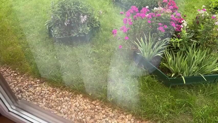 The video provides a view from inside a building looking out through a window at a backyard garden. The window appears to be slightly dirty or possibly has water droplets on it, creating a hazy effect on the image. In the foreground, there's a gravel pathway and green grass. The garden itself features a variety of plants, including pink and purple flowers, and lush green bushes. In the background, a small wooden shed or outbuilding is visible, along with a white greenhouse, a fence, and some houses and trees in the distance. The sky is overcast. The camera pans slowly across the scene, offering a wider perspective of the garden and its surroundings. There are no people visible in the video. The overall impression is that of a well-maintained but somewhat rustic garden on a cloudy day.