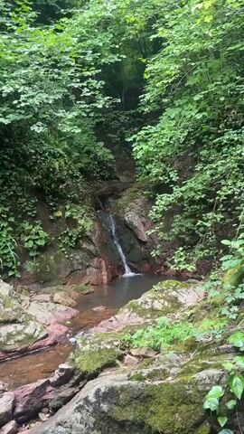 This video shows a small waterfall flowing into a pool of water in a lush, green forest. The water cascades over rocks covered in moss and vegetation. Sunlight filters through the trees, illuminating the scene. The sound of the waterfall is audible throughout the video.