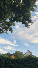 Krefeld suburb on a cloudy summer evening