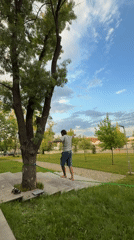 Slackliners practice balance skills in Sofia park during afternoon