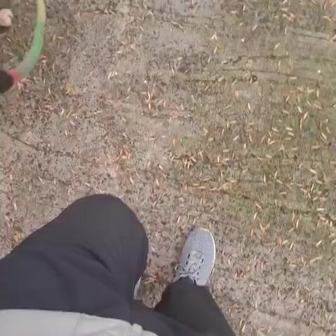 The video shows a first-person perspective of someone walking their dog on a paved sidewalk. The person is wearing grey sneakers and dark pants. The dog is a medium-sized, light-colored dog wearing a red collar and is on a leash. The leash is brightly colored with green, pink, and orange sections. The sidewalk is made of square concrete tiles and has some fallen leaves on it. To the left of the sidewalk is a pink building with dark wooden doors and a stone base. There are bare trees lining the sidewalk. Across the street, there is traffic, including an orange bus. The overall environment appears to be an urban or suburban street.