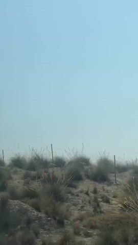 The video shows a dry, dusty landscape with sparse vegetation. The terrain appears to be sandy or silty, with some eroded features visible on a slope. In the upper portion of the frame, a clear blue sky suggests a sunny day. The vegetation consists mainly of dry grass and small bushes, some of which are being blown by the wind. There is also a faint suggestion of a fence line in the distance. The overall impression is one of an arid or semi-arid environment.