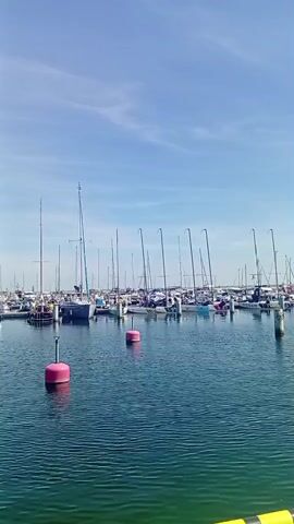 A panoramic video shows a marina with numerous sailboats docked on a sunny day. The water is a deep green, reflecting the clear blue sky with a few scattered clouds. Two pink buoys are visible in the foreground. The sailboats are lined up neatly, their masts tall and thin against the sky. People can be seen on some of the boats, engaged in various activities. The scene suggests a peaceful and picturesque setting.