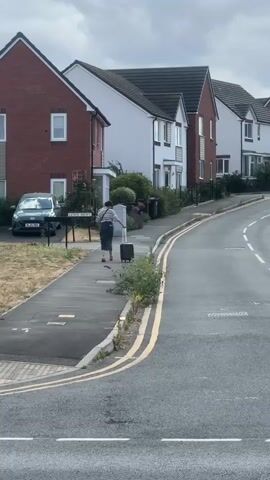 A person walks along a sidewalk pulling a black suitcase. The person is wearing a striped shirt and dark pants. The sidewalk is next to a road with double yellow lines. On the other side of the sidewalk are several houses. A green car is parked in front of one of the houses. The sky is overcast.