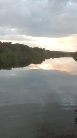 The video shows a calm river with lush green trees on either side. The sky is overcast with some hints of sunlight peeking through. The water reflects the sky and the trees, creating a serene and peaceful scene. The camera is positioned low, close to the water's surface, giving the viewer a sense of being right there in nature. There are no people or animals visible in the video. The overall mood is tranquil and contemplative.