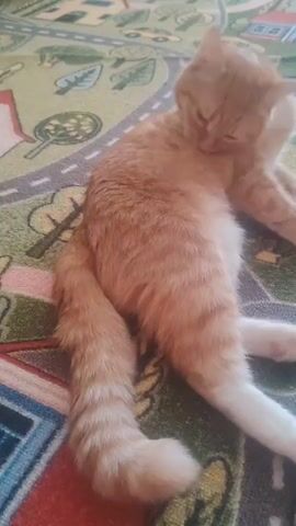 A ginger cat is lying on a colorful rug with a town pattern. The cat is facing away from the camera and licking its back. It then turns its head and looks directly at the camera. The rug has green, blue, grey, and red colors.
