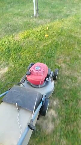 The video shows a first-person perspective of a person mowing a lawn with a red and gray lawnmower. The lawnmower has a bag attached to the back to collect grass clippings. The lawn is green and appears to be well-maintained. The video is shot from a slightly elevated angle, looking down at the lawnmower and the grass. The video is blurry and shaky, suggesting it was recorded while the person was in motion. There is a white pole visible in the background. The sound of the lawnmower engine is audible.