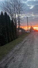 Spring blooms and rural roads captured in Dubrovka